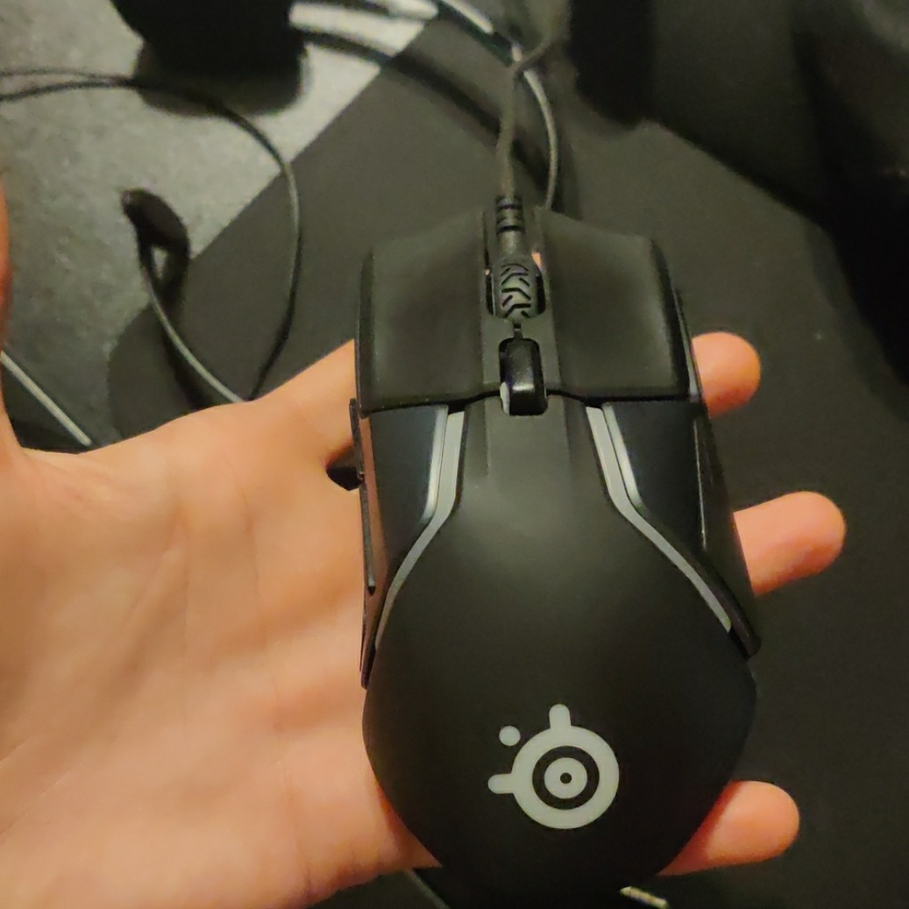 Steel series mouse